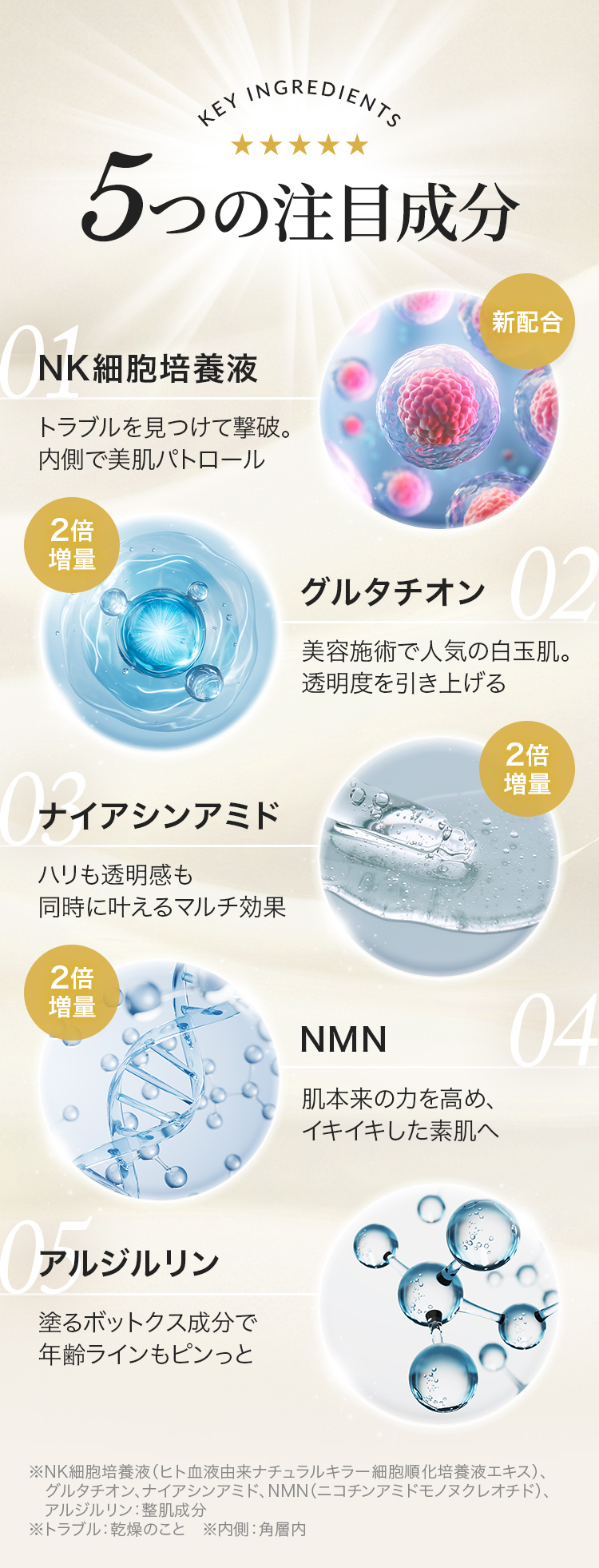 5つの注目成分