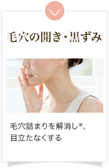 毛穴の開き・黒ずみ 毛穴詰まりを解消し※、目立たなくする