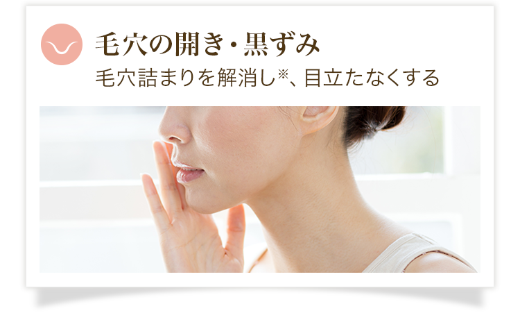 毛穴の開き・黒ずみ 毛穴詰まりを解消し※、目立たなくする